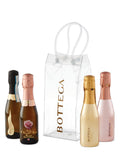 Bottega Mini Sparkling Icebag Set
