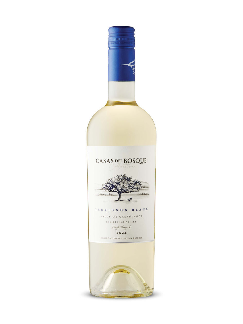 Casas del Bosque Reserva Sauvignon Blanc